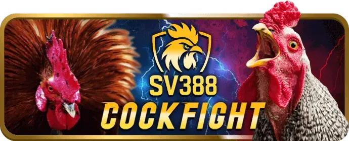Cập nhật tin tức Esport 62 win